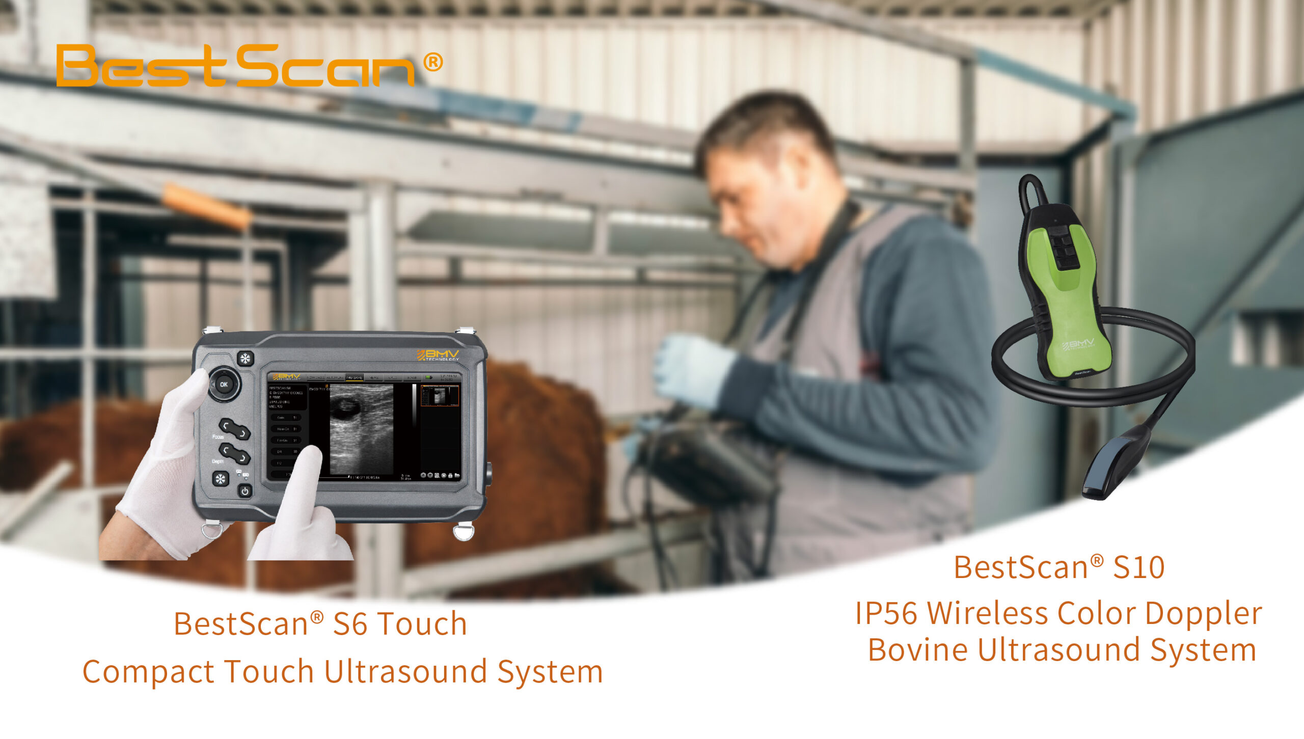 Durable, Wireless Ultrasound for Efficient Herd Care